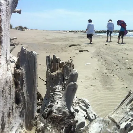 Maebrilu Camargue Provence * Salin-de-Giraud